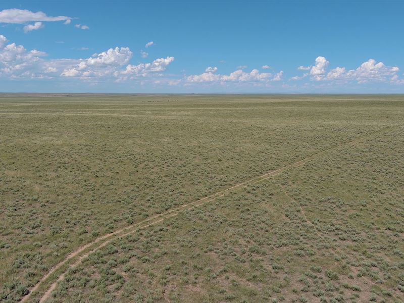 Jr & Laverle Kelley Land Auction : Eads : Kiowa County : Colorado