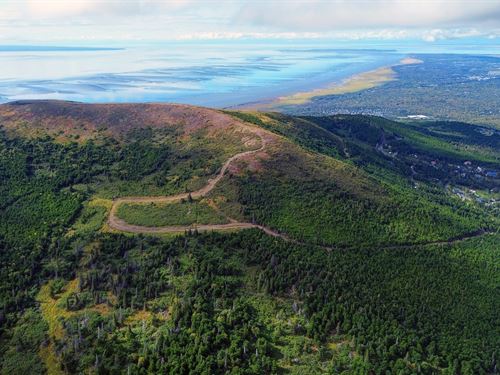 Paine Free Paradise : Anchorage : Alaska