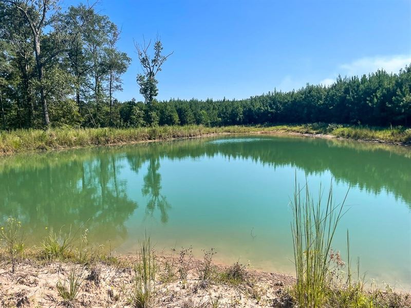 24 Acres, T-1, Union Springs Road : Corrigan : Polk County : Texas