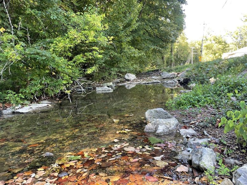 11 Acres with Creek Hendersonville : Hendersonville : Sumner County : Tennessee