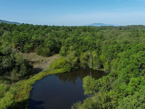 30 Acres in Hackett, Arkansas : Hackett : Sebastian County : Arkansas