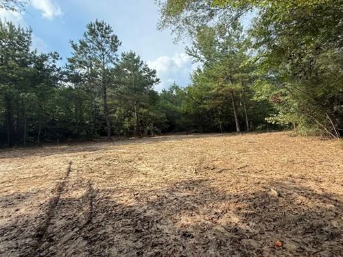20 Acres in Lincoln County in Smith : Smithdale : Lincoln County : Mississippi