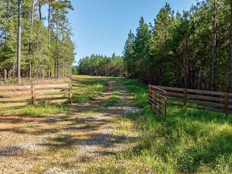 Bob Smith Road Tract : Stephens : Oglethorpe County : Georgia