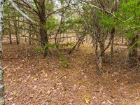 $999 Dwn with Electric Near Lake : Canadian : Pittsburg County : Oklahoma