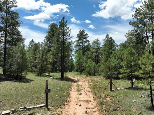 10 Acres in Cibola County, NM : Grants : Cibola County : New Mexico