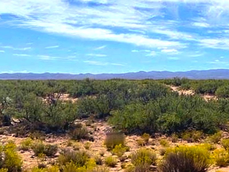 Texas Freedom to Build, Camp, & RVs : Van Horn : Culberson County : Texas