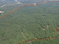 Little White Oak Creek Farm : Enville : Chester County : Tennessee