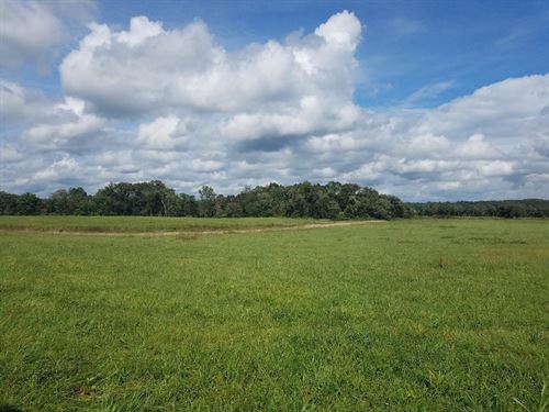 Farm Next to The Park : Pikeville : Bledsoe County : Tennessee