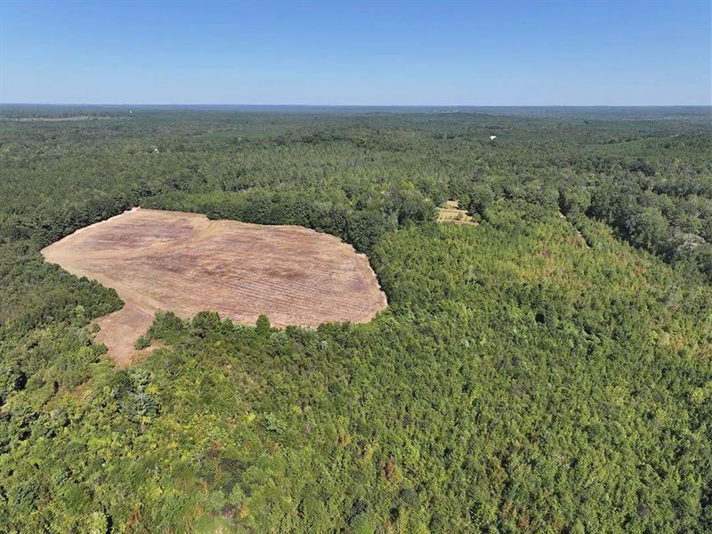 70 Acres in Lamar County, AL : Vernon : Lamar County : Alabama