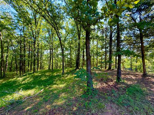 15 Acres in Brie : Brierfield : Bibb County : Alabama