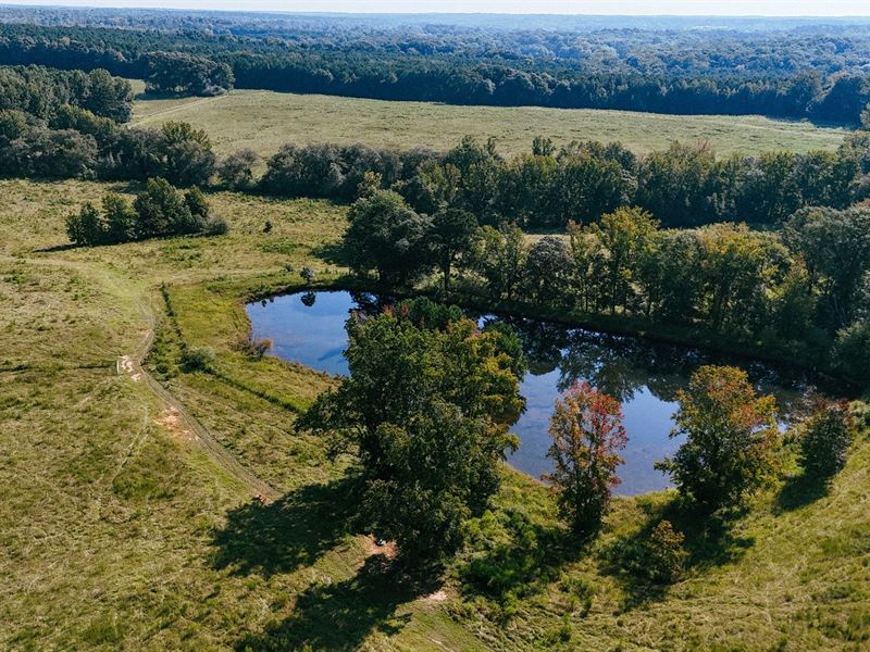 Foster's New River Farm : Grantville : Coweta County : Georgia