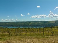5 Acre Homesite, Panoramic Views : Urbana : Steuben County : New York