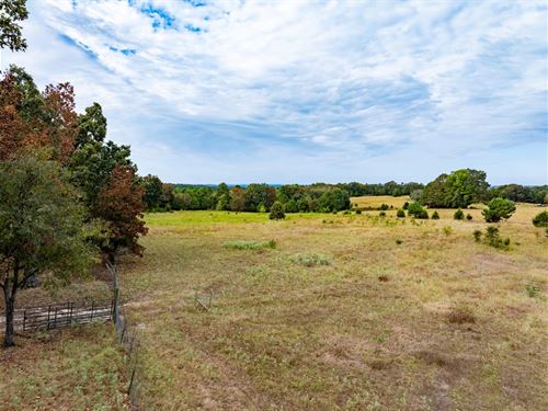 23 Acres, Fenced, Sharp County : Cave City : Sharp County : Arkansas