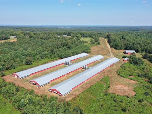 Potash Ridge Mega Broiler Farm : Roanoke : Randolph County : Alabama