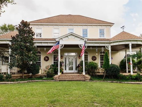 Golden Pines Ranch 235 Acres in Sto : Perkinston : Stone County : Mississippi