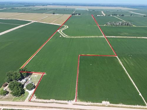 Belk Farm 80 : Inverness : Sunflower County : Mississippi