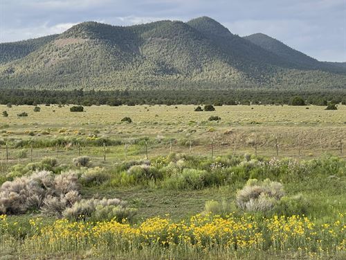 Sojourn Valley Ranch : Datil : Catron County : New Mexico