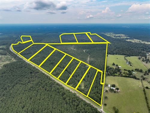 17 Acres, T-35, Highway 94, 4552 : Groveton : Trinity County : Texas