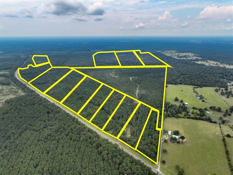 15 Acres, T-38, Highway 94, 4552 : Groveton : Trinity County : Texas