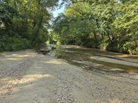 Phares Hilltop Farm The Southeast : Meadville : Franklin County : Mississippi