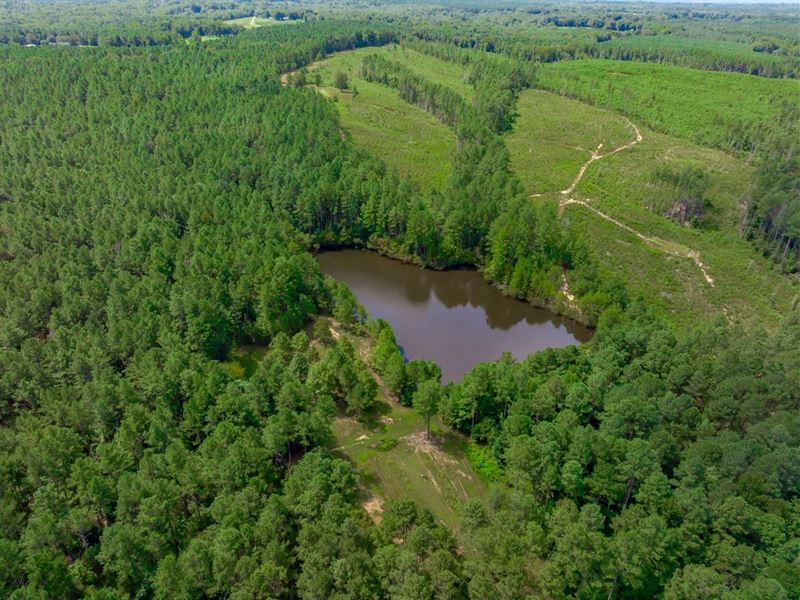 The Southern Moon Tract : Great Falls : Chester County : South Carolina