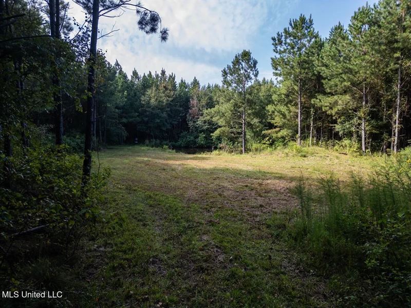 Hunting Land for Sale in Copiah Cou : Wesson : Copiah County : Mississippi
