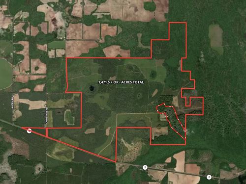 1,472 Acres in Northwest Florida : Campbellton : Jackson County : Florida