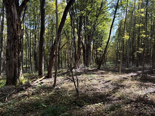 Southern Tier Home or Camp Lot : Otselic : Chenango County : New York