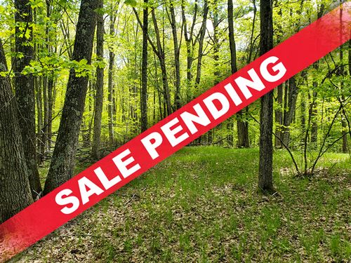 7.6 Acre Marinette County Getaway : Pembine : Marinette County : Wisconsin