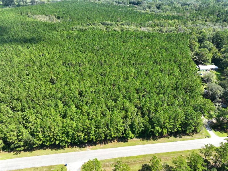 5.81 Acres Old Jefferson Hwy, Woodb : Woodbine : Camden County : Georgia