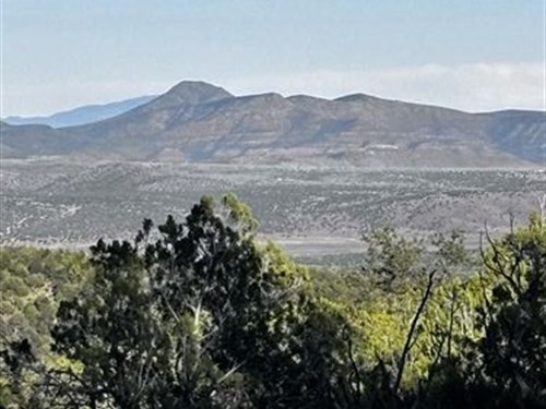 Heavily Treed, Expansive Views : Seligman : Yavapai County : Arizona