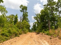 Near Buffalo River, $999 Down : Linden : Perry County : Tennessee