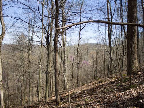 $999 Down Land, Own Today : Mount Vernon : Rockcastle County : Kentucky