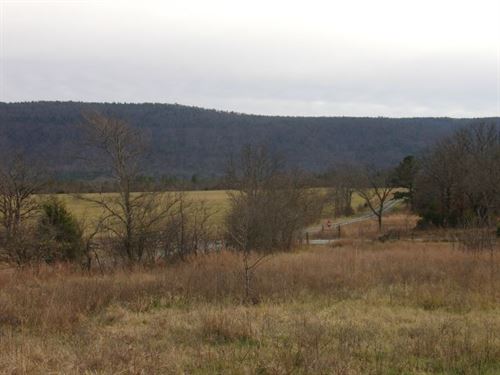 Do Not Miss This One : Whitesboro : Pushmataha County : Oklahoma