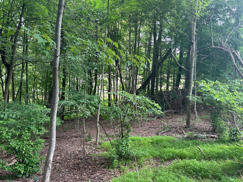 Williams Rd, Westmoreland, Leec : Leechburg : Armstrong County : Pennsylvania