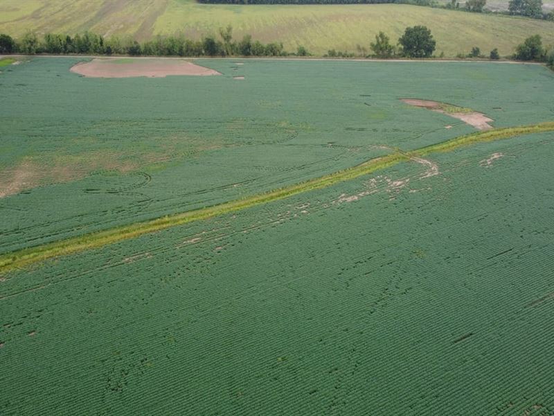 Dyer Bottoms 80 : Mulberry : Crawford County : Arkansas