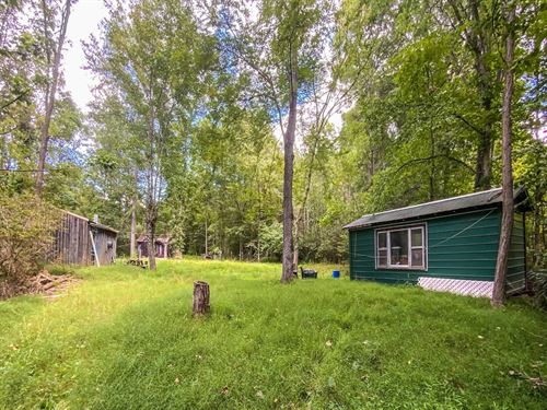 Batesville Rd, 6 Acres : Quaker City : Guernsey County : Ohio