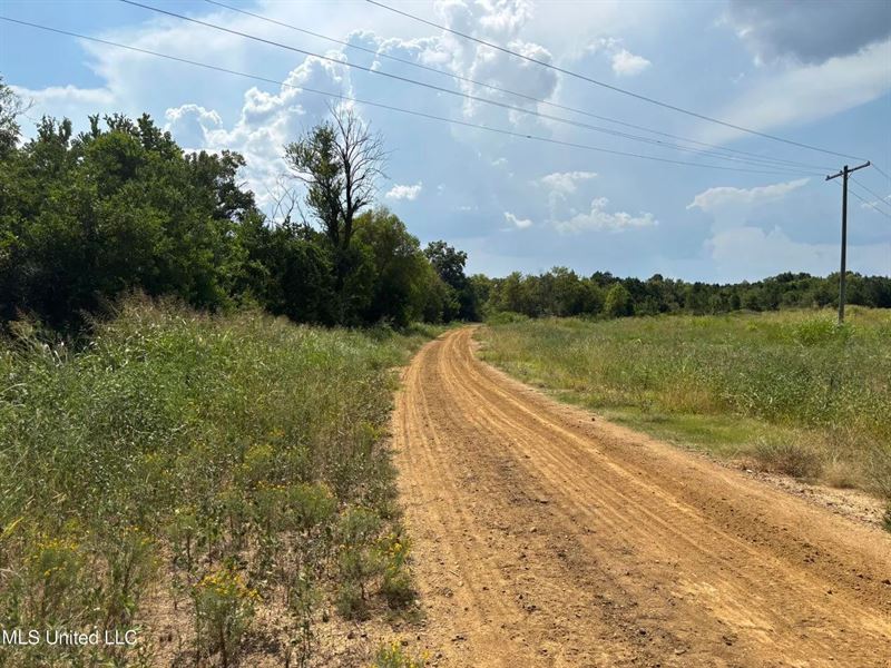 95 Acres for Sale in Hinds County : Jackson : Hinds County : Mississippi