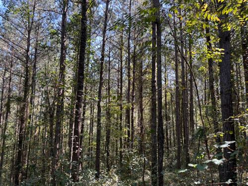 Heflin Exit 205 : Heflin : Cleburne County : Alabama