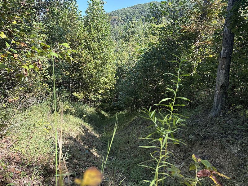 190 Ac. Prime Recreational Property : Lucasville : Scioto County : Ohio