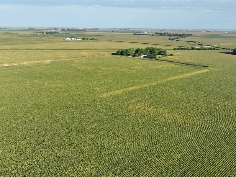 Farmland Auction, Livingston Co IL : Campus : Livingston County : Illinois