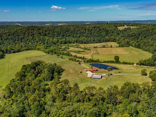 328 Ac Secluded Picturesque Retreat : Minford : Scioto County : Ohio