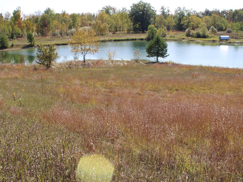 Northern Lights 75 : South Branch : Ogemaw County : Michigan
