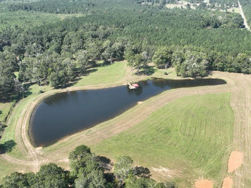 52.5 Acres of Recreational Land : Ellisville : Jones County : Mississippi