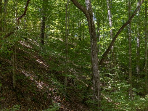 $999 Down and no Credit Check : Flatwoods : Perry County : Tennessee