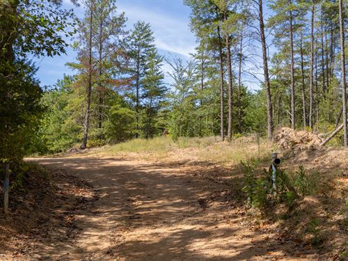 $499 Down Option Available : Flatwoods : Perry County : Tennessee