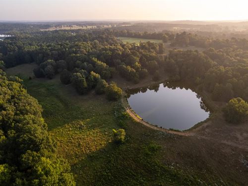 Mont Hall Farm : Hallsville : Harrison County : Texas