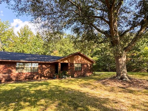 Home + 8 Acres West Clay County : Cedar Bluff : Clay County : Mississippi