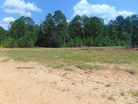 24.08 Acres in The Heart of Wesson : Wesson : Copiah County : Mississippi