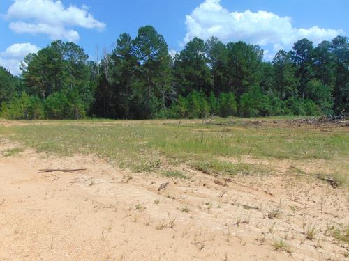 24.08 Acres in The Heart of Wesson : Wesson : Copiah County : Mississippi